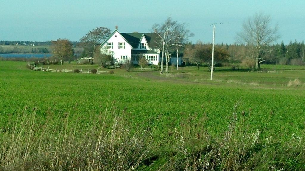 Lovely Green Gable Home Miscouche ภายนอก รูปภาพ